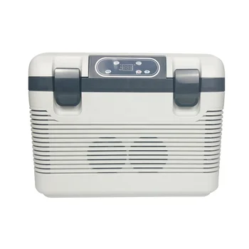 19L Термоэлектрический охладитель и подогреватель морозильной камеры AC DC12V Портативный мини-холодильник Кемпинг Авто Холодильник Автомобильный холодильник Холодильник Коробка